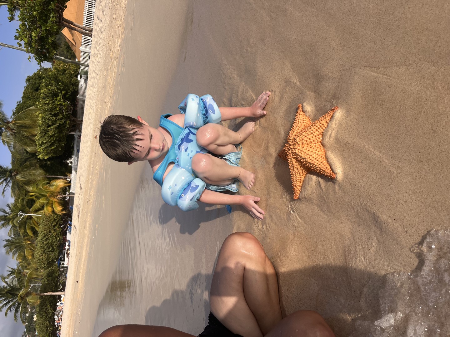Starfish and Sand travel moment 3
